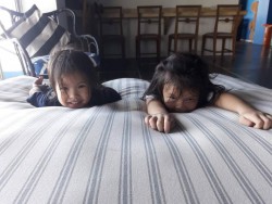 our tiny guests are having fun at Thalay hostel